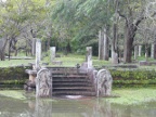 flooded-guardians.JPG (217 KB)